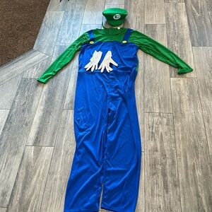 Adult Luigi costume XL
